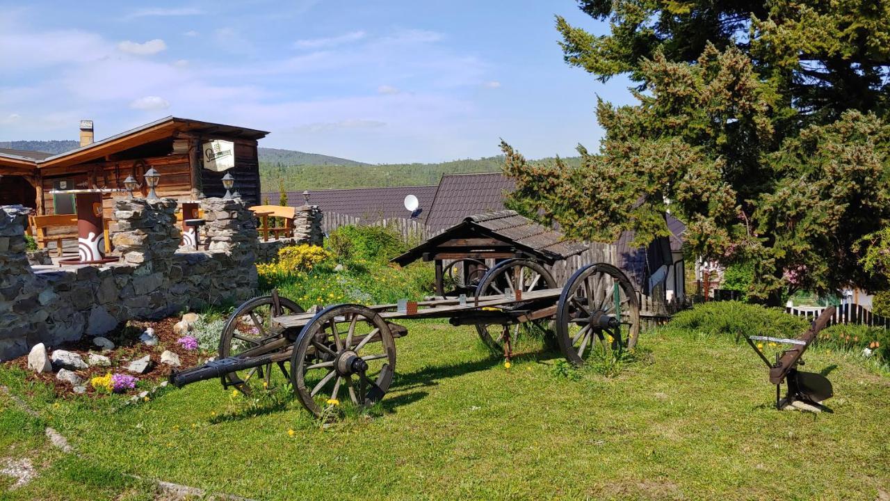Pod Hradom Restaurant & Pension Topoľčany Esterno foto