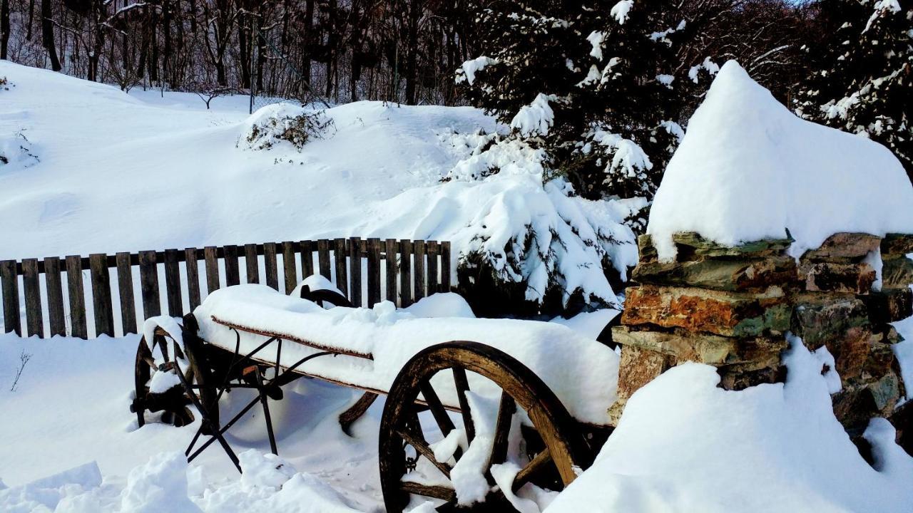 Pod Hradom Restaurant & Pension Topoľčany Esterno foto