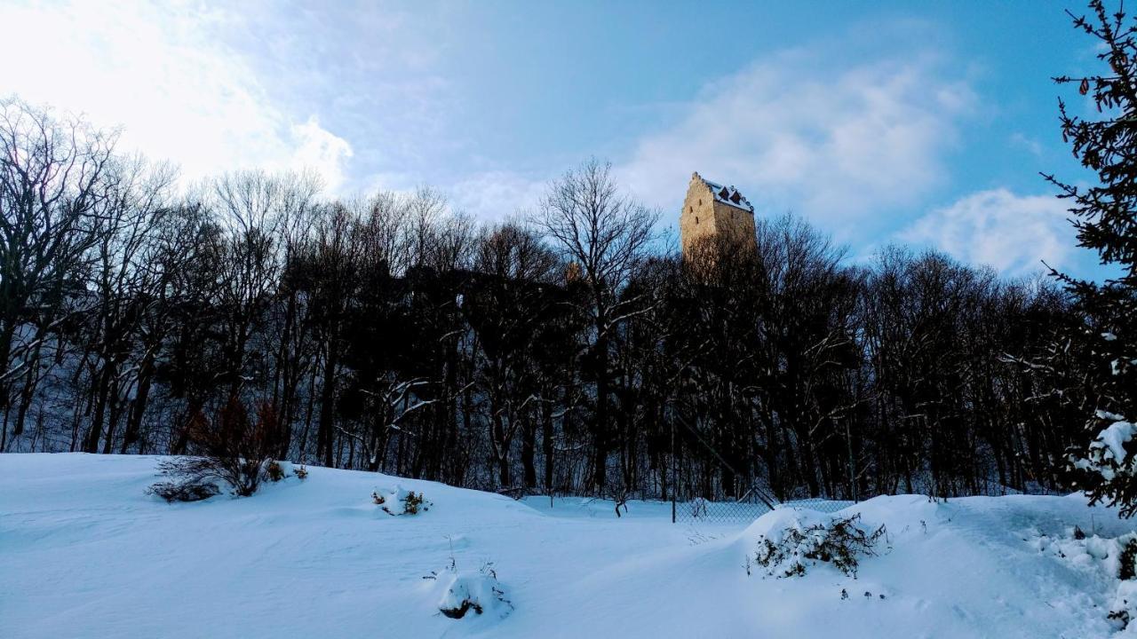 Pod Hradom Restaurant & Pension Topoľčany Esterno foto